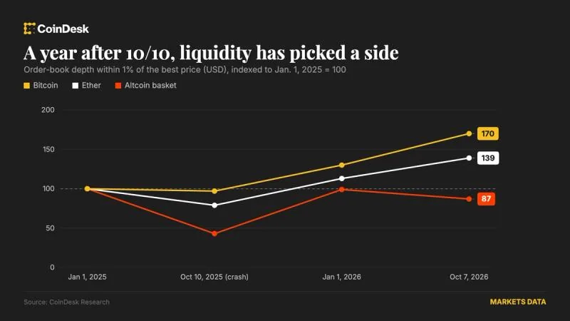 altcoins show uneven recovery one year after 10/10